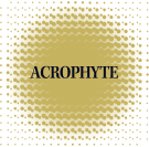 Acrophyte Logo